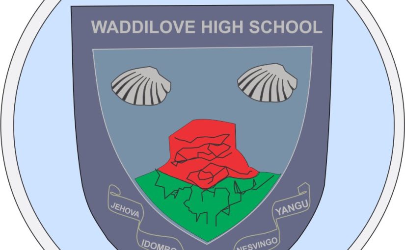 Tips for Improving Your Writing Skills in High School